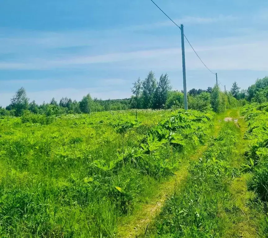 Участок в Владимирская область, Костерево Петушинский район, Полевая ... - Фото 0