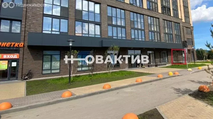 Помещение свободного назначения (50 м) - Фото 0