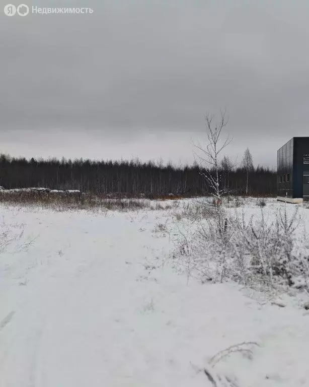 Участок в Тверь, улица Паши Савельевой (50 м) - Фото 2