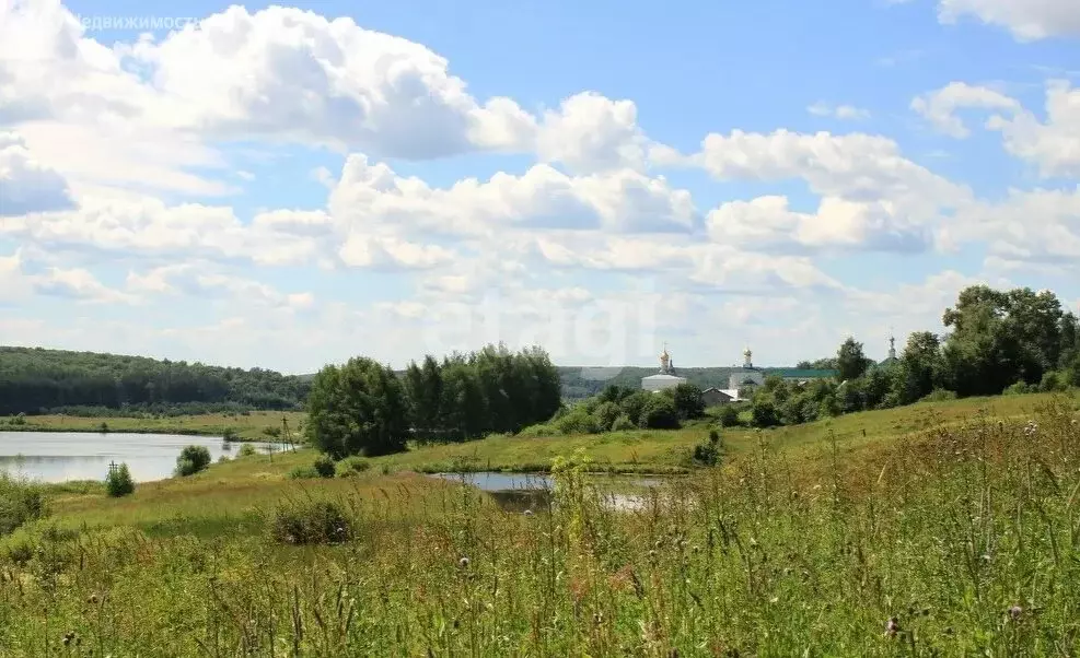 Участок в Владимирская область, Юрьев-Польский муниципальный округ, ... - Фото 1