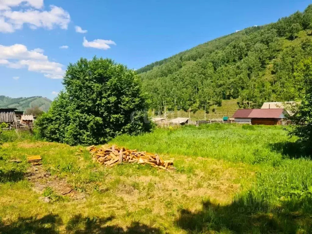 Дом в Алтай, Шебалинский район, с. Черга ул. Чапаева, 28 (28 м) - Фото 1