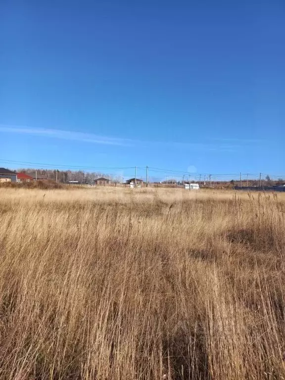 Участок в Амурская область, Благовещенский район, с. Волково Новая ... - Фото 1