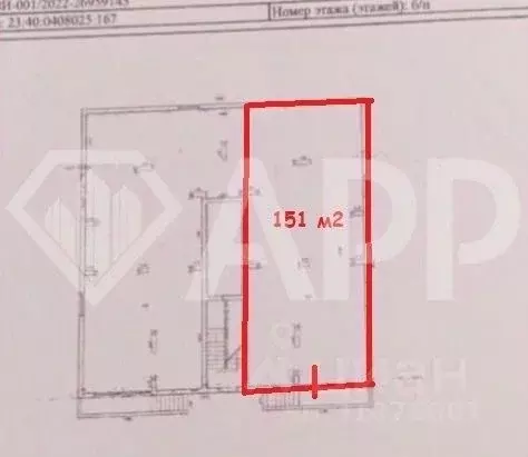 Помещение свободного назначения в Краснодарский край, Геленджик ... - Фото 2