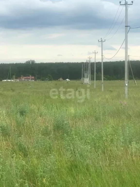 Участок в Свердловская область, Белоярский муниципальный округ, с. ... - Фото 0