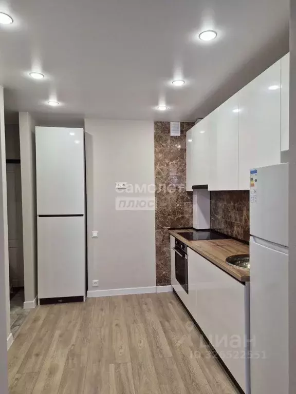 Студия Пензенская область, Пензенский район, Засечный сельсовет, с. ... - Фото 2