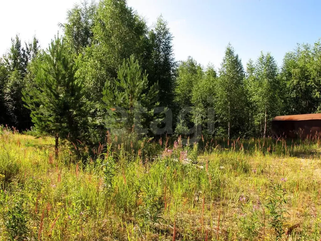 Участок в Коми, Корткеросский район, Додзь муниципальное образование, ... - Фото 2