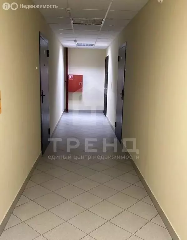 Квартира-студия: Санкт-Петербург, проспект Просвещения, 43 (25.2 м) - Фото 1