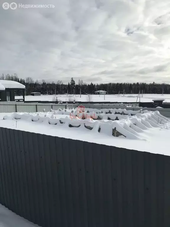 Участок в Московская область, Дмитровский муниципальный округ, деревня ... - Фото 2