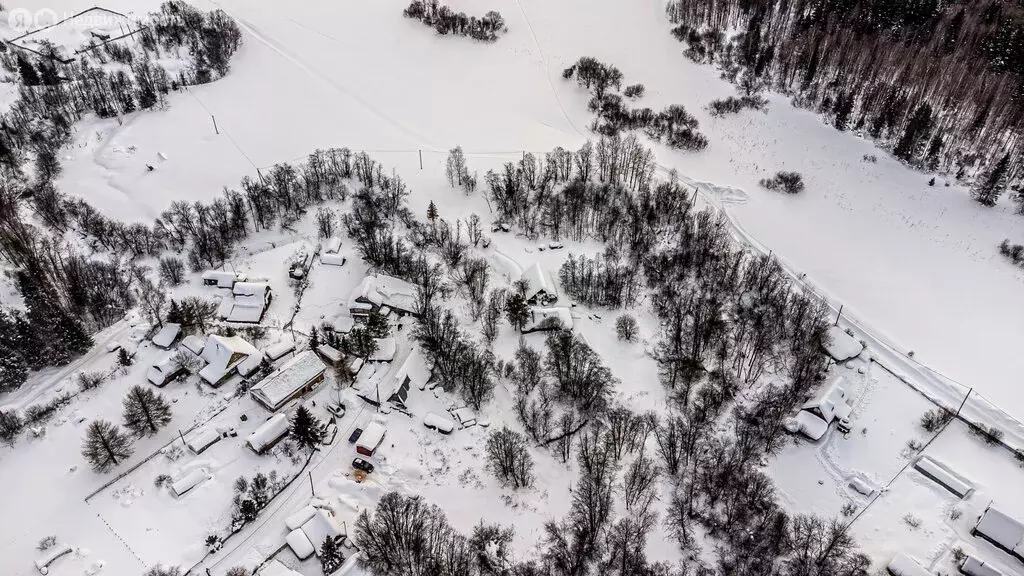 Участок в Пермский муниципальный округ, деревня Тишкино (35 м) - Фото 2