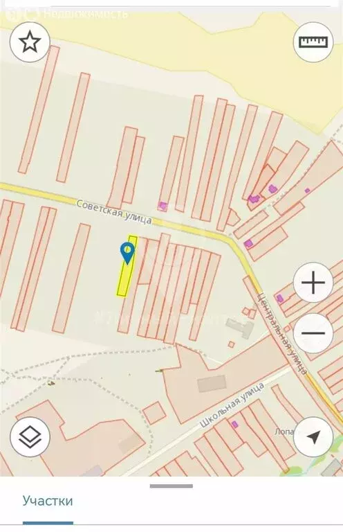 Участок в Рязанская область, Скопинский муниципальный округ, село ... - Фото 2