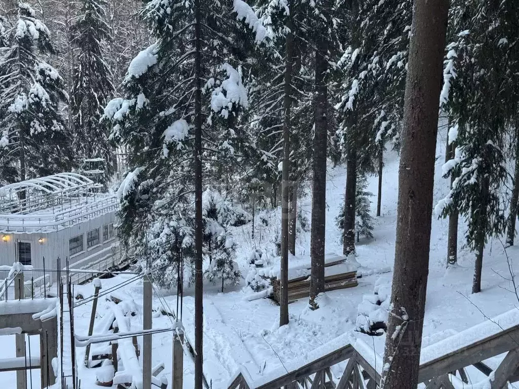 Участок в Санкт-Петербург пос. Репино, Ленгипроречтранс СНТ, ул. ... - Фото 2