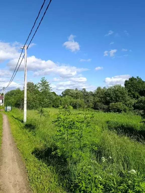 Участок в Ленинградская область, Ломоносовский район, Ропшинское ... - Фото 2