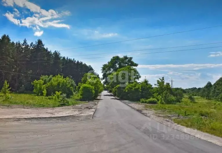 Склад в Брянская область, Клинцовский район, пос. Первое Мая ул. ... - Фото 1