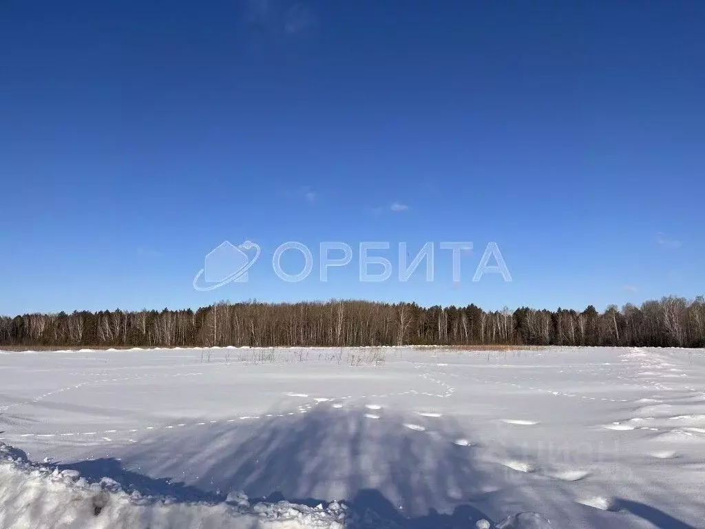 Участок в Тюменская область, Тюмень Антипино мкр,  (80.0 сот.) - Фото 0