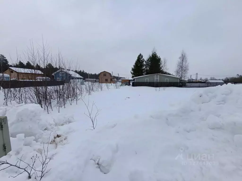 Участок в Московская область, Лосино-Петровский городской округ, д. ... - Фото 1