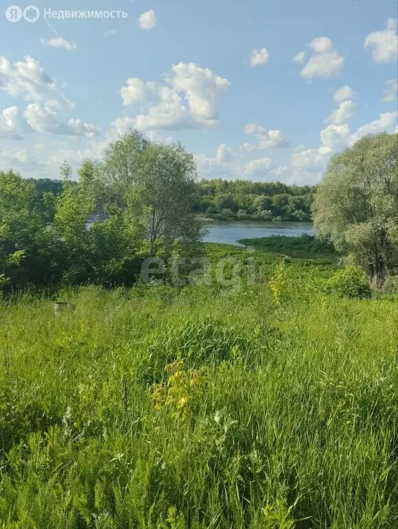 дом в алексин, садоводческое товарищество ока (30 м) - Фото 0