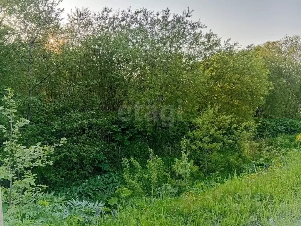 Участок в Сахалинская область, Долинск Парашютная ул. (5.94 сот.) - Фото 1