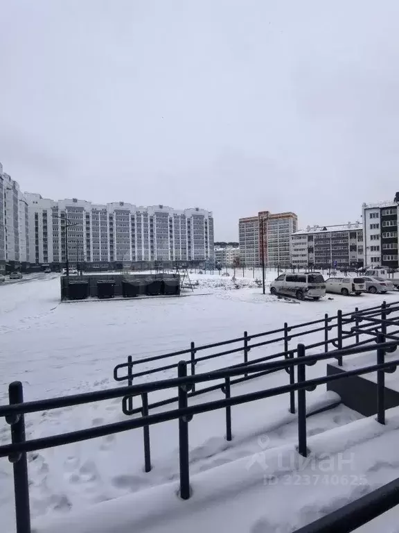 1-к кв. Амурская область, Благовещенский район, с. Чигири ул. ... - Фото 2