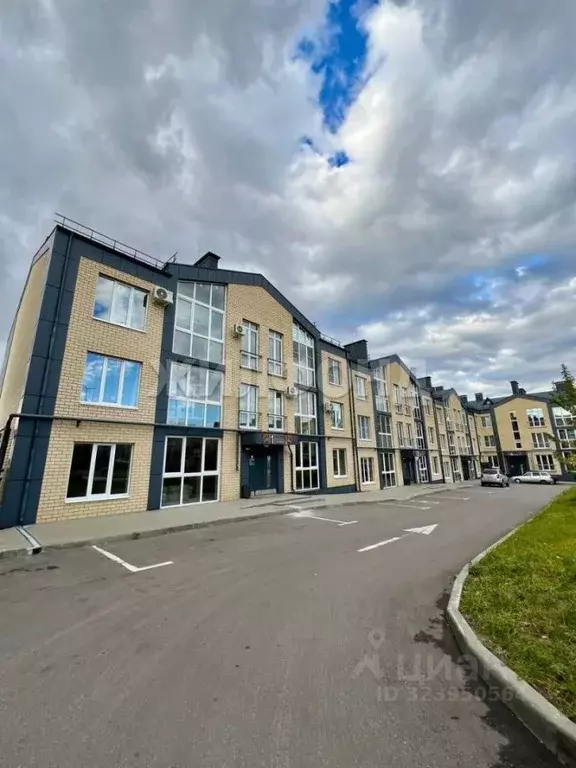 3-к кв. Воронежская область, Семилуки ул. Маяковского, 37/4 (97.2 м) - Фото 1