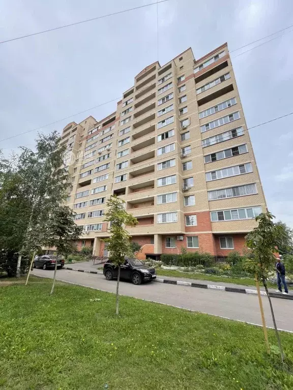 Школьная 15 зеленый. Школьная 15 зеленый. Школьная 15 зеленый. Sky lake жилет рио. Школьная 15 зеленый.