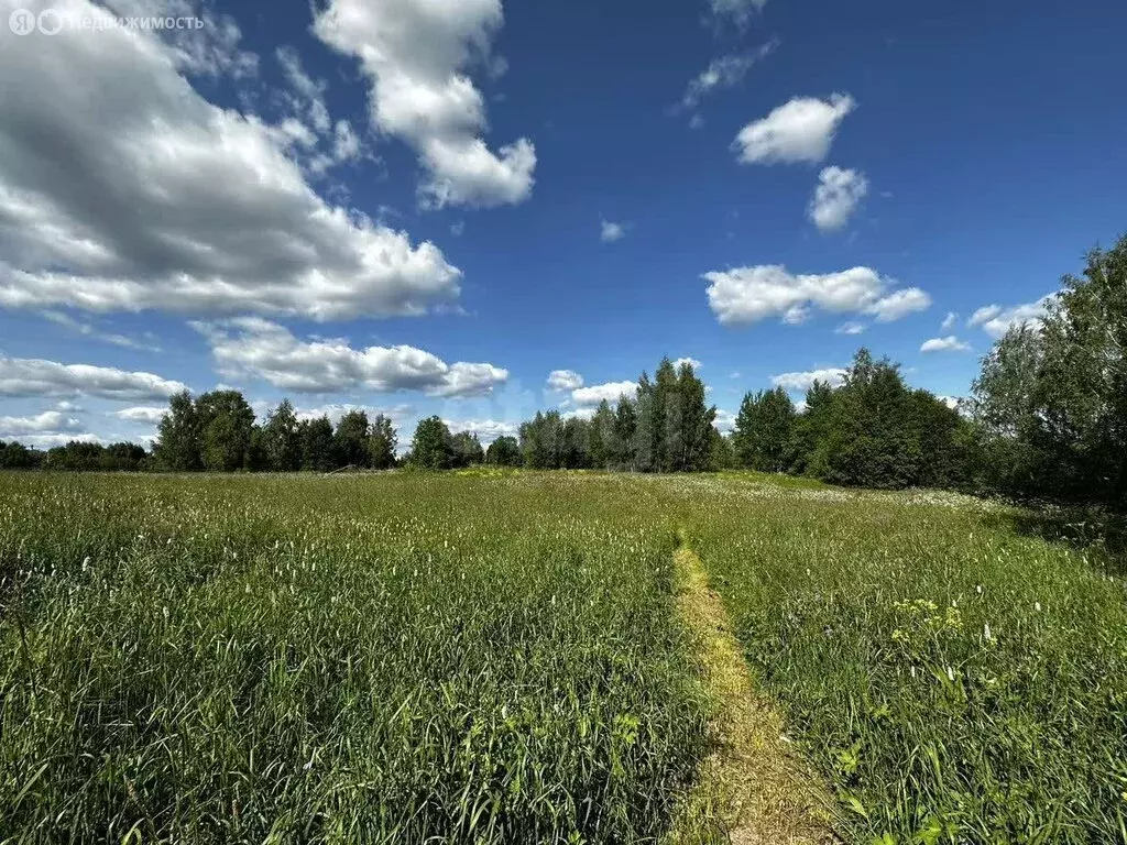 Участок в Ярославская область, Тутаевский муниципальный округ, деревня ... - Фото 2
