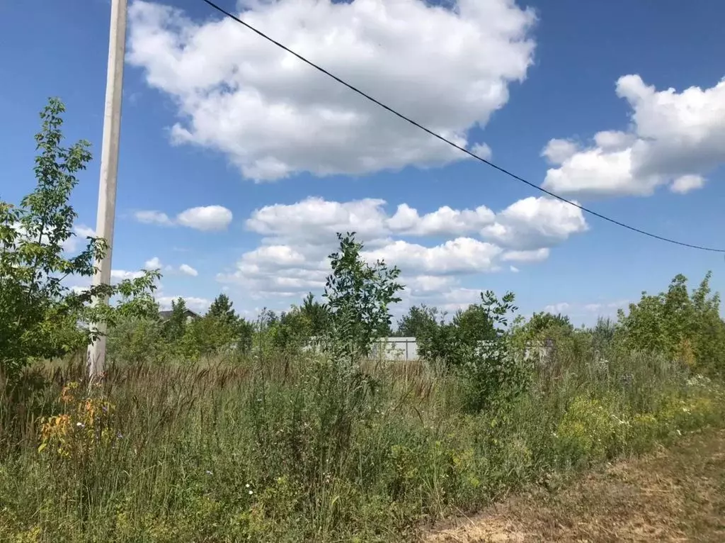 участок в ульяновская область, ульяновск городской округ, с. . - Фото 0