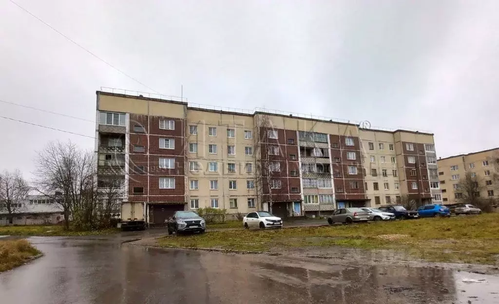 3-к кв. Ленинградская область, Бокситогорский район, Ефимовское ... - Фото 1