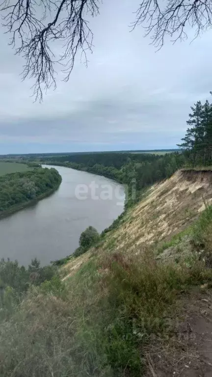 Участок в Воронежская область, Рамонский район, Комсомольское с/пос, ... - Фото 1