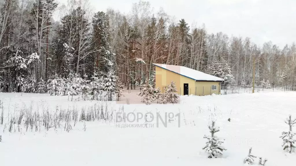 Производственное помещение в Свердловская область, Белоярский ... - Фото 0