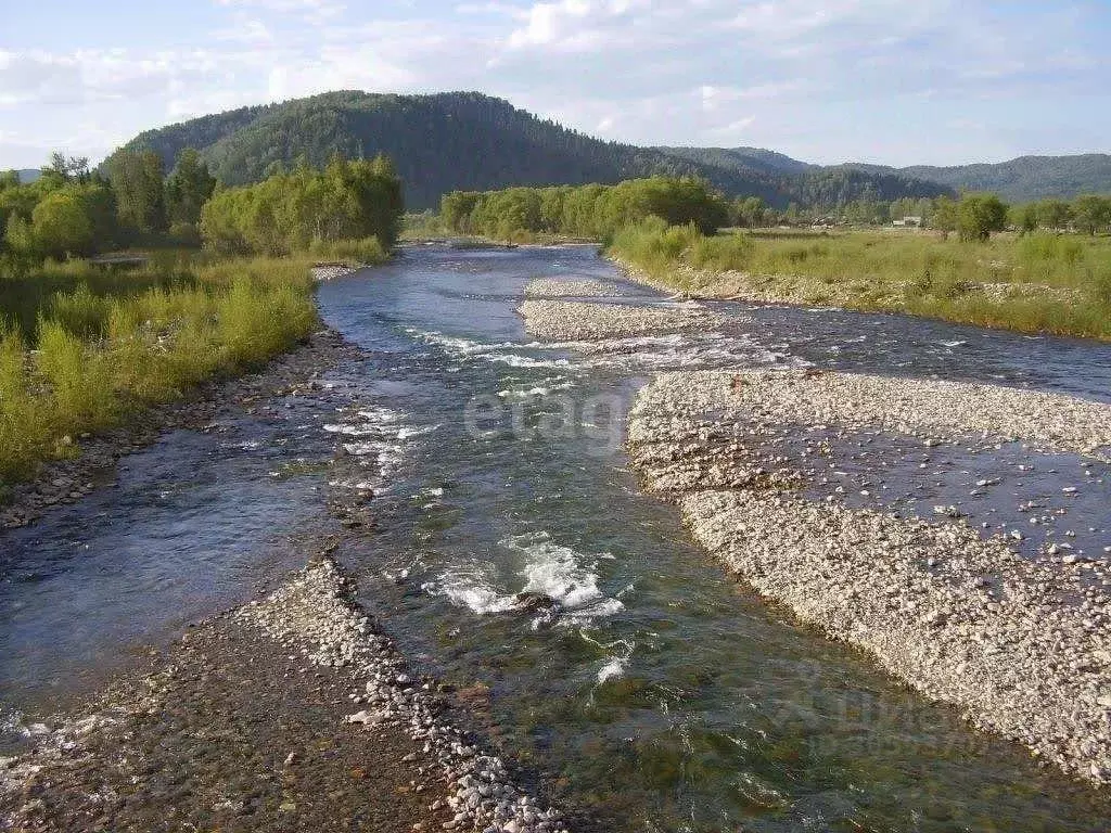 Участок в Алтай, Чойский район, с. Каракокша Заречная ул. (16.6 сот.) - Фото 0