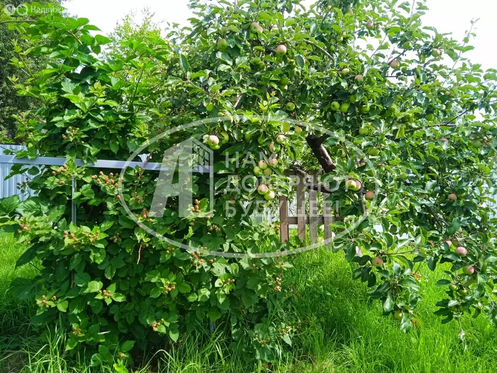 Дом в Кизнер, Октябрьская улица, 45 (46.4 м) - Фото 0
