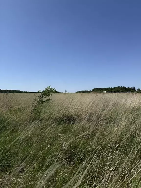 Участок в Московская область, Подольск городской округ, д. Наумово  ... - Фото 1