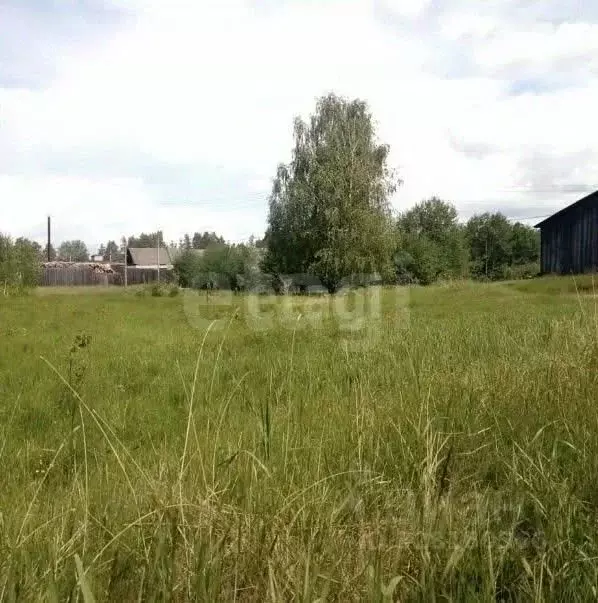 Участок в Марий Эл, Медведевский район, Сидоровское с/пос, Вираж СНТ  ... - Фото 2