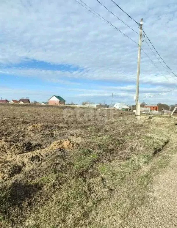 Участок в Томская область, Томский район, д. Новомихайловка ... - Фото 0