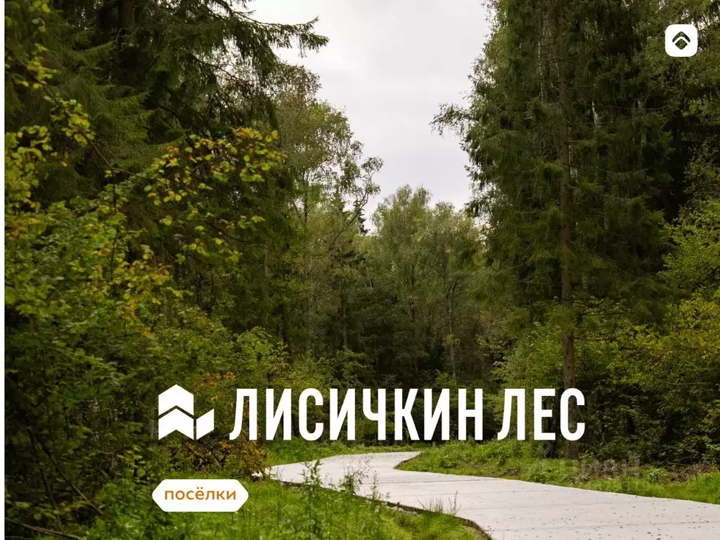 Участок в Московская область, Солнечногорск городской округ, Лисичкин ... - Фото 1