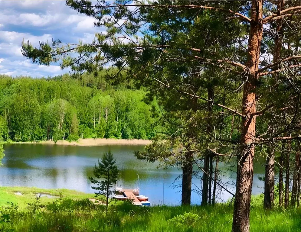 Участок в Ленинградская область, Выборгский район, Каменногорское ... - Фото 1