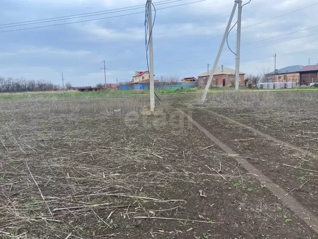 Участок в Ростовская область, Мясниковский район, с. Большие Салы ул. ... - Фото 1