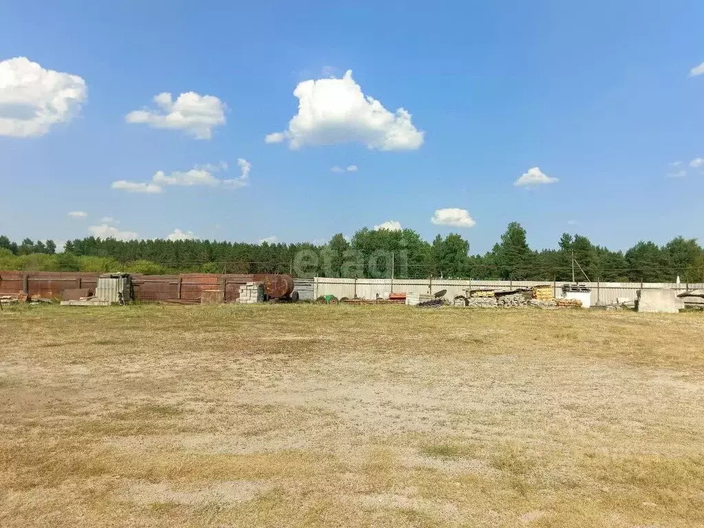 Помещение свободного назначения в Белгородская область, Новооскольский ... - Фото 1