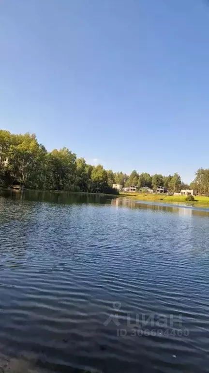 Участок в Ленинградская область, Всеволожский район, Куйвозовское ... - Фото 1