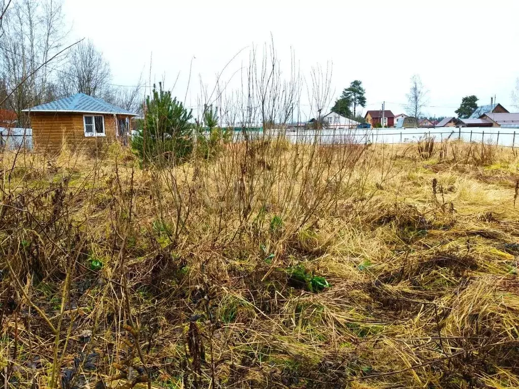 Участок в Владимирская область, Покров городской округ, д. Иваново ул. ... - Фото 1