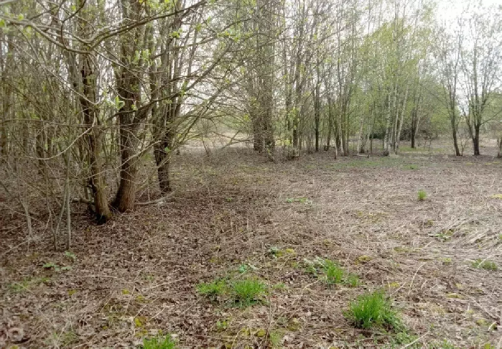 Продается участок в г. Клин - Фото 1