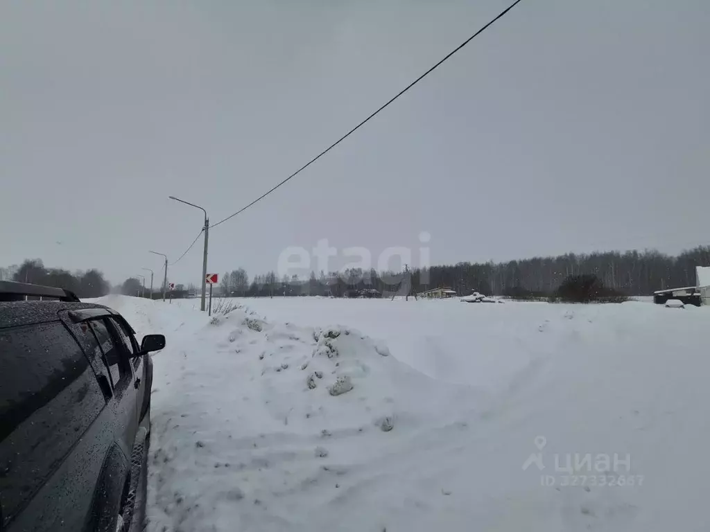Участок в Ярославская область, Некрасовский муниципальный округ, д. ... - Фото 2
