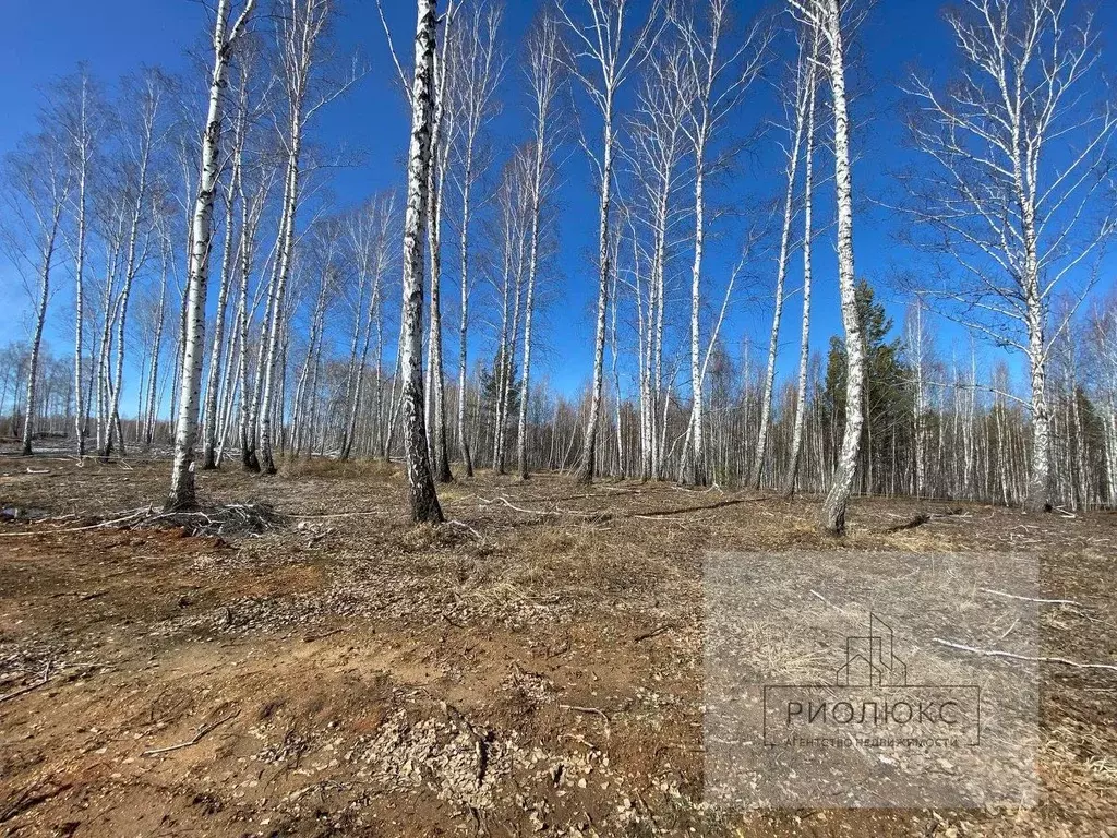 Участок в Челябинская область, Сосновский район, Кременкульское с/пос, ... - Фото 1