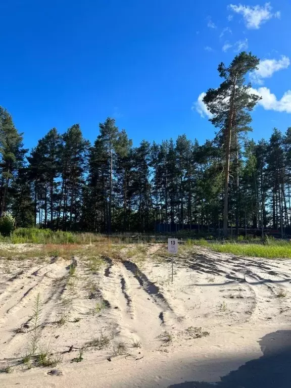 Участок в Нижегородская область, Володарский муниципальный округ, ... - Фото 0