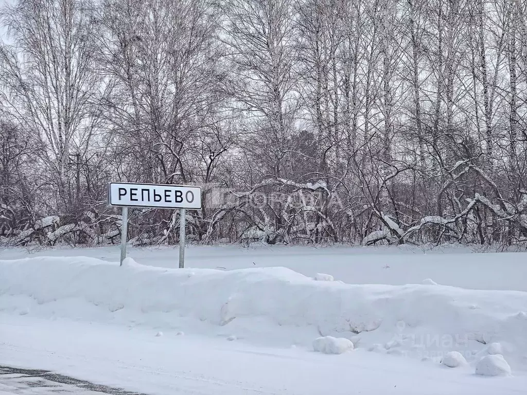 Участок в Новосибирская область, Тогучинский район, Репьевский ... - Фото 1