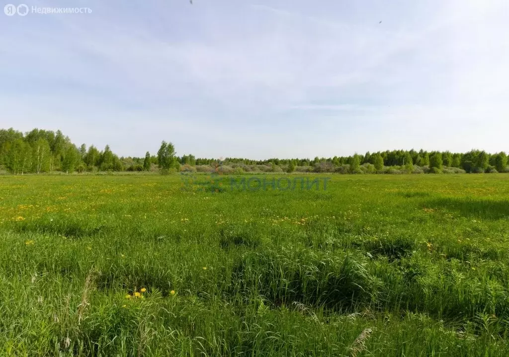 Участок в Нижегородская область, Богородский муниципальный округ, ... - Фото 1
