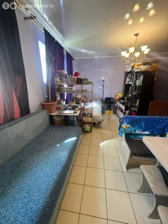 Квартира-студия: село Нежинка, улица Мира, 1 (28.2 м) - Фото 1