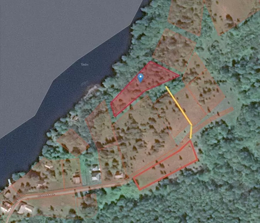 Участок в Новгородская область, Демянский муниципальный округ, д. ... - Фото 2