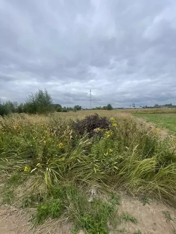 Участок в Московская область, Ступино городской округ, с. Ивановское  ... - Фото 2
