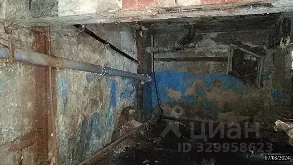 Помещение свободного назначения в Нижегородская область, Нижний ... - Фото 1